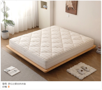 4 全拆床垫 (2)